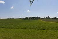 Cjp_2015_05_29_131402.jpg