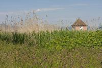 Cjp_2015_05_29_135204.jpg