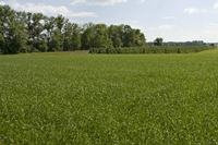 Cjp_2015_05_29_135928.jpg