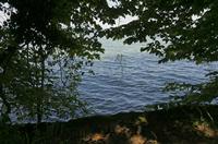 Cjp_2015_05_29_141548.jpg