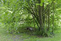 Cjp_2015_05_29_150800.jpg