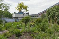 Cjp_2015_05_30_125828.jpg