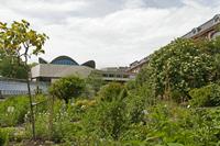 Cjp_2015_05_30_125834.jpg