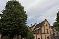 Cjp_2015_05_30_140238.jpg