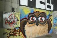 Cjp_2015_05_30_150906.jpg