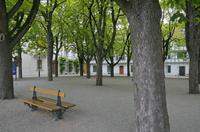 Cjp_2015_05_31_054228.jpg