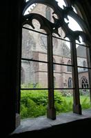 Cjp_2015_05_31_055530.jpg