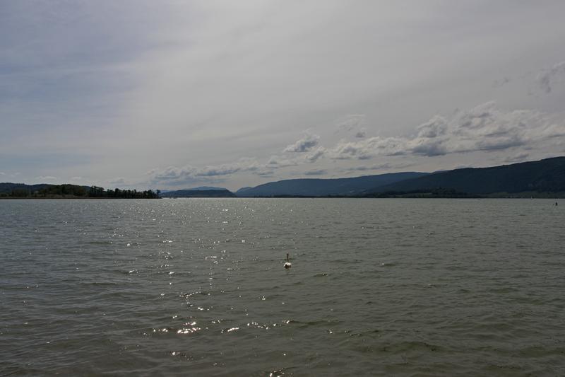 Cjp_2015_05_31_140410.jpg