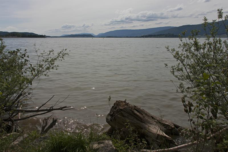 Cjp_2015_05_31_141652.jpg