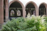 Cjp_2015_05_31_055932.jpg