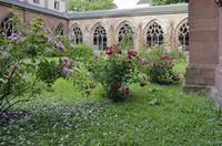 Cjp_2015_05_31_060250.jpg