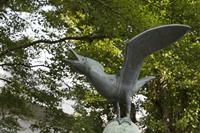 Cjp_2015_05_31_072416.jpg