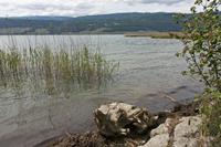 Cjp_2015_05_31_141506.jpg