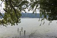 Cjp_2015_05_31_142648.jpg