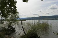 Cjp_2015_05_31_144222.jpg