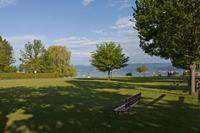 Cjp_2015_06_01_055646.jpg