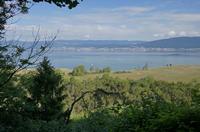 Cjp_2015_06_01_064656.jpg