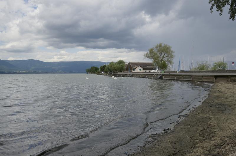 Cjp_2015_06_01_124858.jpg