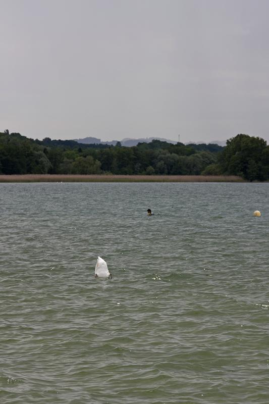 Cjp_2015_06_01_131348.jpg