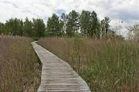 Cjp_2015_06_01_111720.jpg
