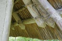 Cjp_2015_06_01_113856.jpg