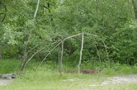 Cjp_2015_06_01_114548.jpg
