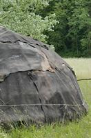 Cjp_2015_06_01_114702.jpg