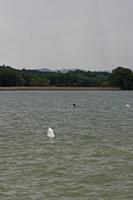 Cjp_2015_06_01_131348.jpg