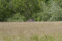 Cjp_2015_06_01_140026.jpg