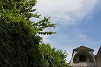 Cjp_2015_06_01_153454.jpg