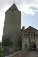Cjp_2015_06_01_155244.jpg
