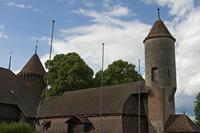 Cjp_2015_06_01_155310.jpg