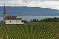 Cjp_2015_06_02_050318.jpg