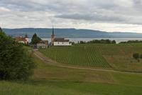 Cjp_2015_06_02_050342.jpg