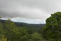 Cjp_2015_06_02_084254.jpg