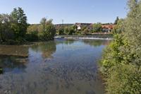 Cjp_2015_06_02_142458.jpg