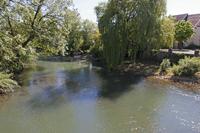 Cjp_2015_06_02_142736.jpg
