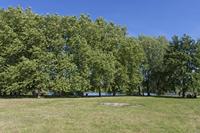 Cjp_2015_06_02_144858.jpg