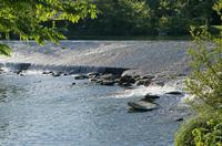Cjp_2015_06_02_173354.jpg