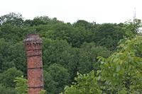 Cjp_2015_06_03_074728.jpg