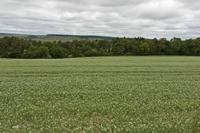 Cjp_2015_06_03_085808.jpg