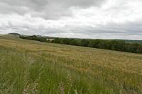 Cjp_2015_06_03_085836.jpg
