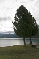 Cjp_2015_09_26_072258.jpg