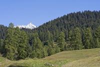 Cjp_2015_09_26_111852.jpg