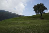 Cjp_2015_09_27_082434.jpg