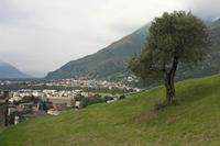 Cjp_2015_09_27_082604.jpg