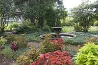 Cjp_2015_09_27_101558.jpg