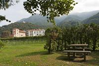 Cjp_2015_09_27_101650.jpg