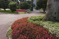 Cjp_2015_09_27_135842.jpg