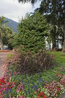 Cjp_2015_09_27_135920.jpg